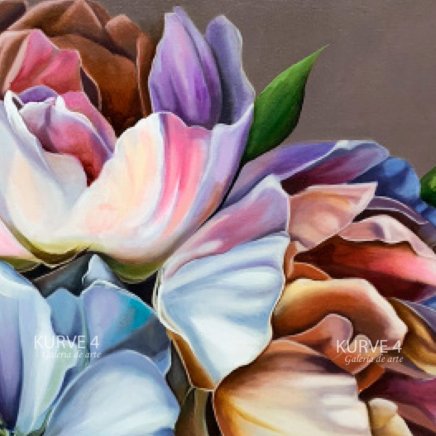 Begonia I